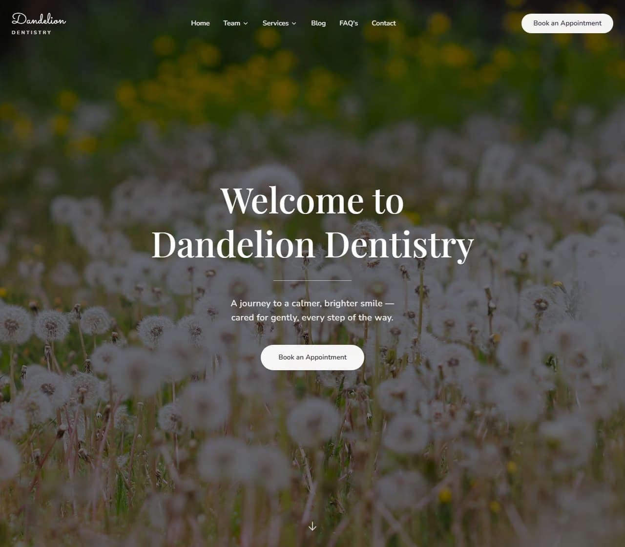 Homepage of the Dandelion Dentistry website